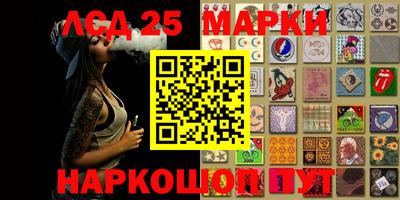 шишки Тара