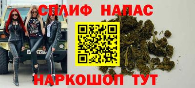 шишки Тара