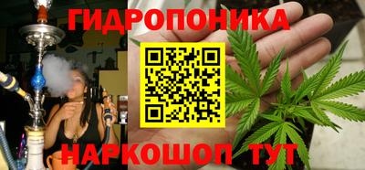 шишки Тара