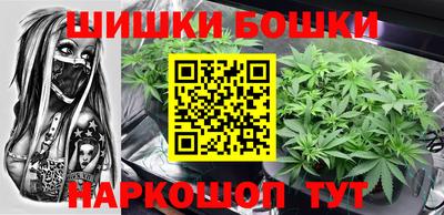 шишки Тара