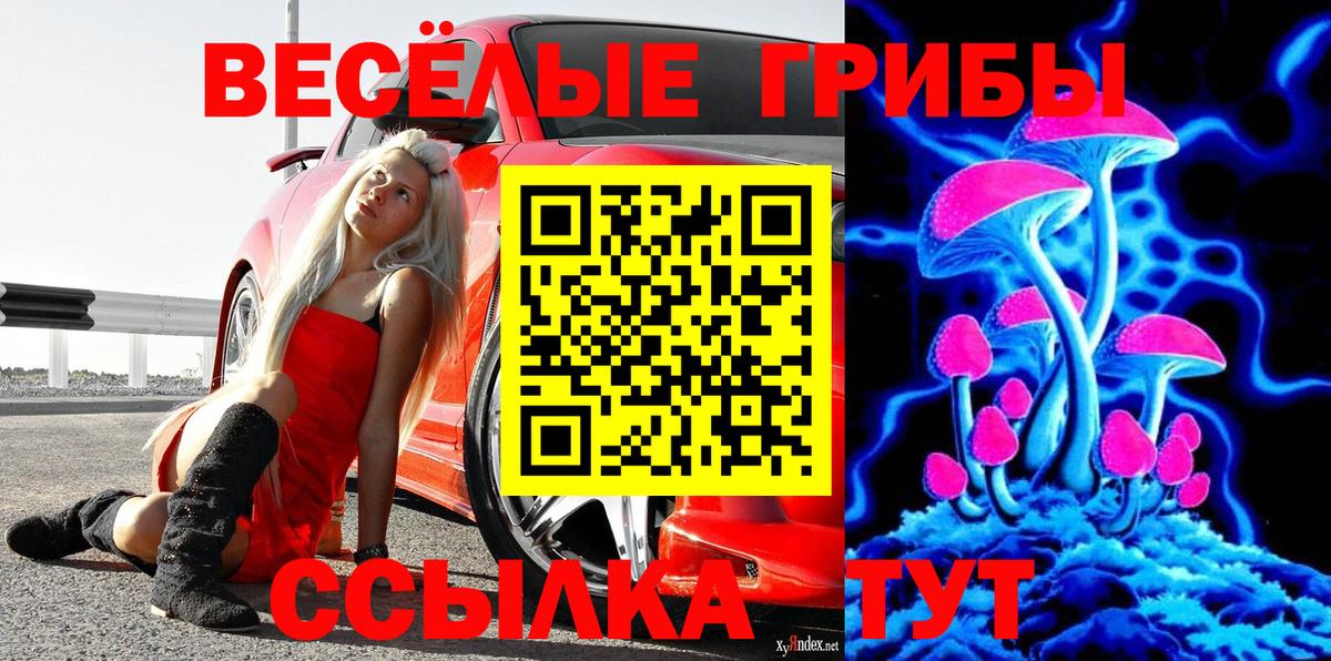 Псилоцибиновые грибы мухоморы  Вход с VPN  Киржач  Псилоцибиновые грибы мицелий 